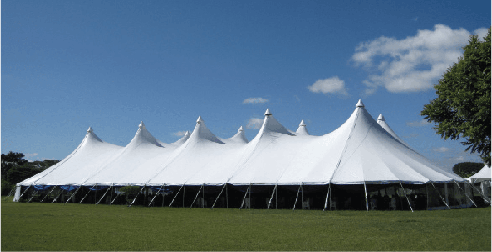 80M X 30M ALPINE
