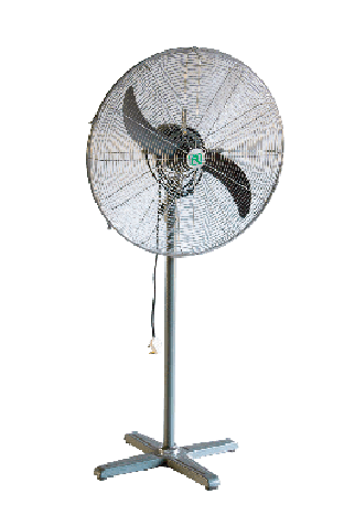 Large Fans